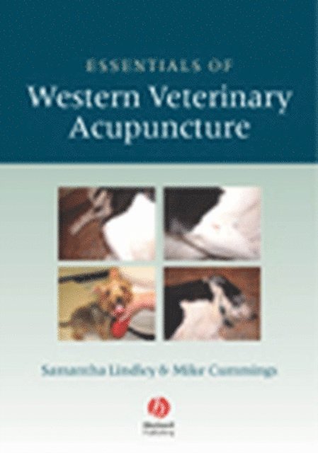 Mike Cummings, Samantha Lindley - Essentials of Western Veterinary Acupuncture, E-bok