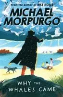 Michael Morpurgo - Why the Whales Came, Övrigt. Tillgänglighet: Tillfälligt slut