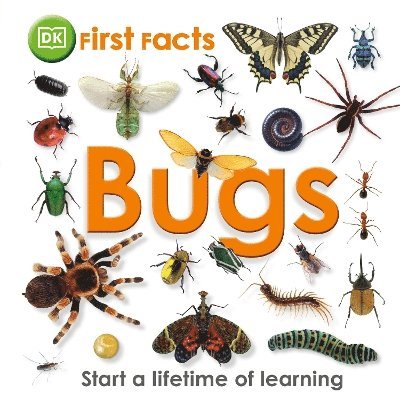 DK - First Facts Bugs, Inbunden