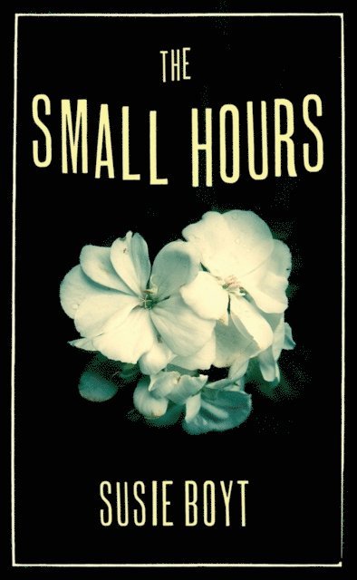 Susie Boyt - Small Hours, E-bok