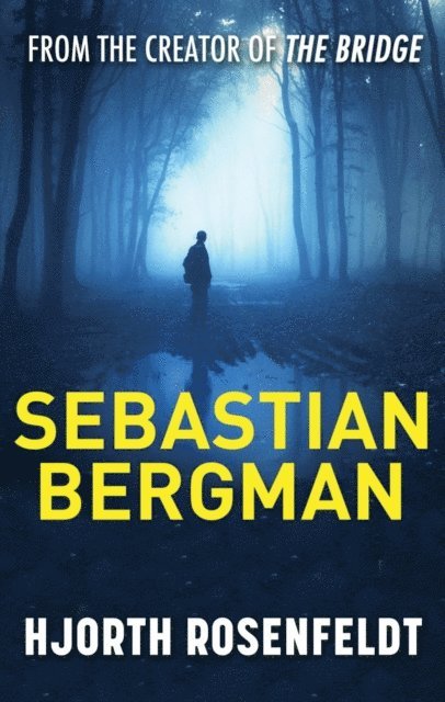 Hjorth Rosenfeldt - Sebastian Bergman, E-bok