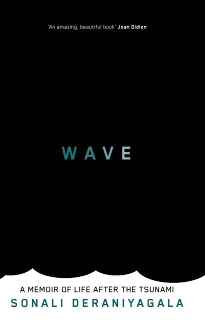 Sonali Deraniyagala - Wave, E-bok