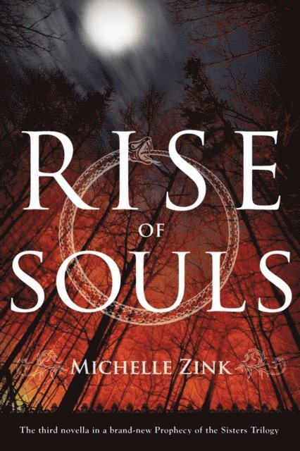 Michelle Zink - Rise of Souls, E-bok