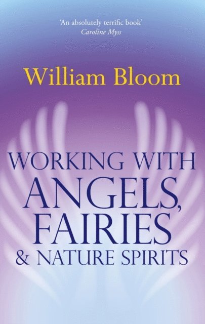 William Bloom - Working With Angels, Fairies And Nature Spirits, E-bok