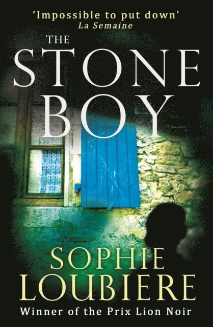 Sophie Loubiere - Stone Boy, E-bok