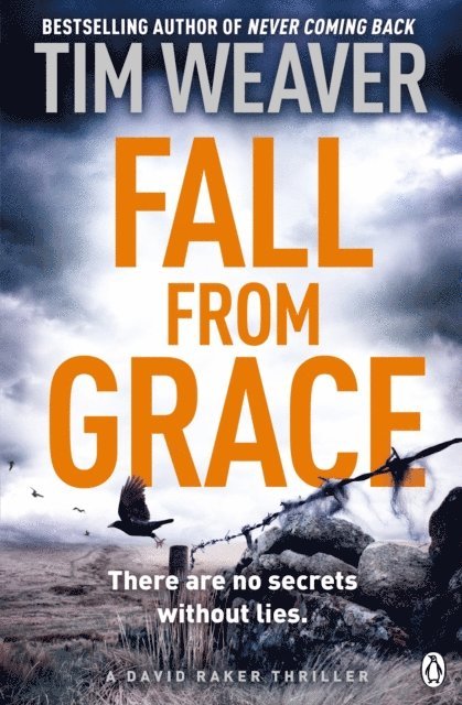 Tim Weaver - Fall From Grace, E-bok