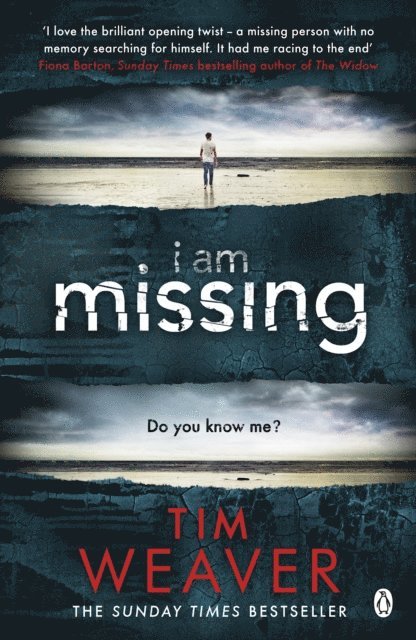 Tim Weaver - I Am Missing, E-bok