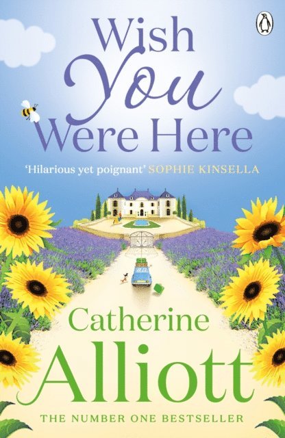 Catherine Alliott - Wish You Were Here, E-bok