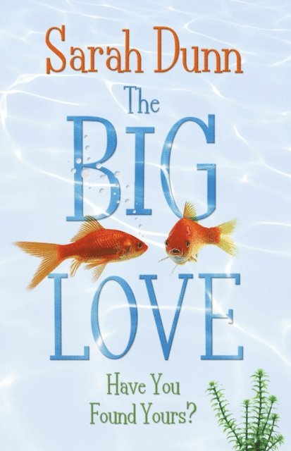 Sarah Dunn - Big Love, E-bok