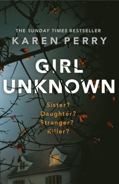 Karen Perry - Girl Unknown, E-bok