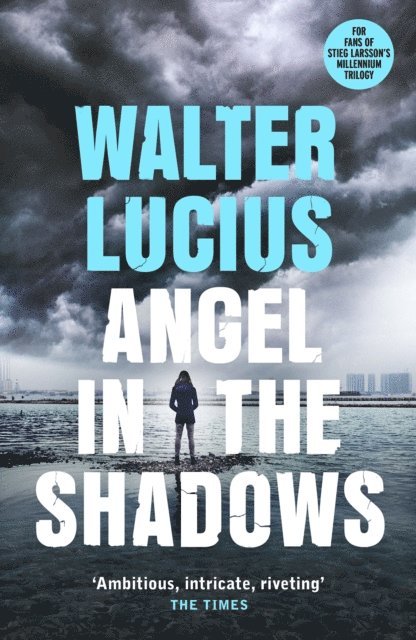 Walter Lucius - Angel in the Shadows, E-bok
