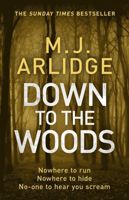 M. J. Arlidge - Down to the Woods, E-bok