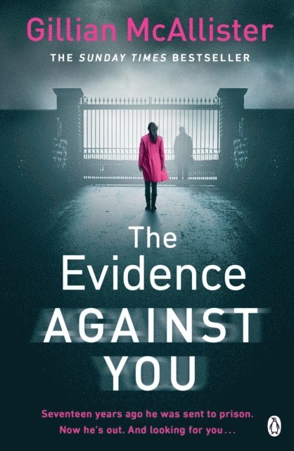 Gillian McAllister - Evidence Against You, E-bok