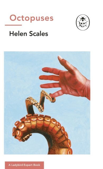 Helen Scales - Octopuses: A Ladybird Expert Book, E-bok