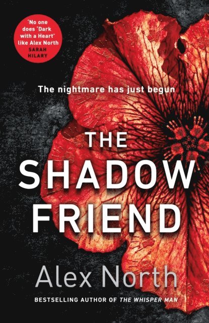 Alex North - Shadow Friend, E-bok