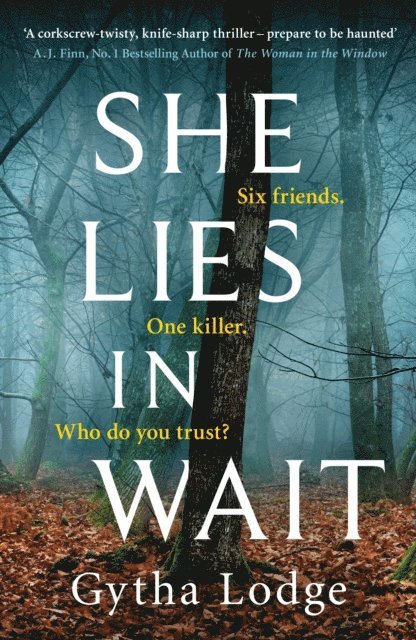 Gytha Lodge - She Lies in Wait, E-bok