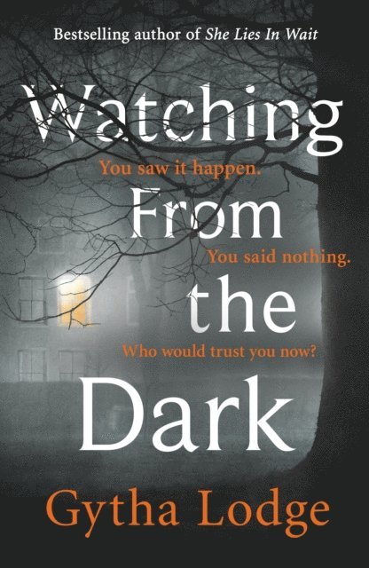 Gytha Lodge - Watching from the Dark, E-bok