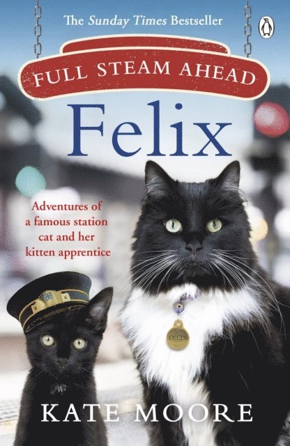 Kate Moore - Full Steam Ahead, Felix, E-bok