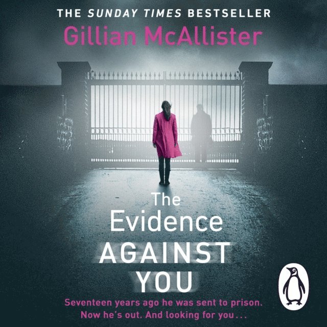 Gillian McAllister - Evidence Against You, Ljudbok