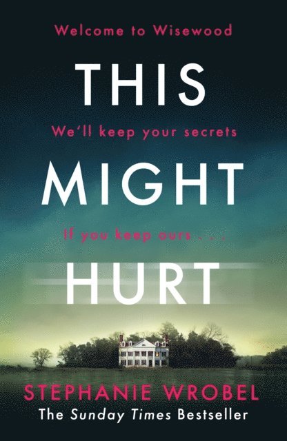 Stephanie Wrobel - This Might Hurt, E-bok