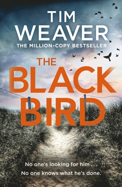 Tim Weaver - Blackbird, E-bok