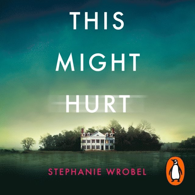 Stephanie Wrobel - This Might Hurt, Ljudbok