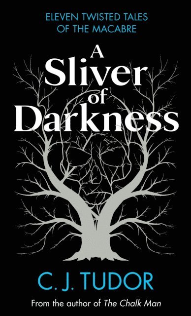 C. J. Tudor - Sliver of Darkness, E-bok
