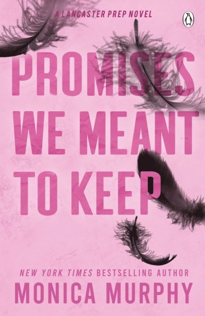 Monica Murphy - Promises We Meant To Keep, E-bok