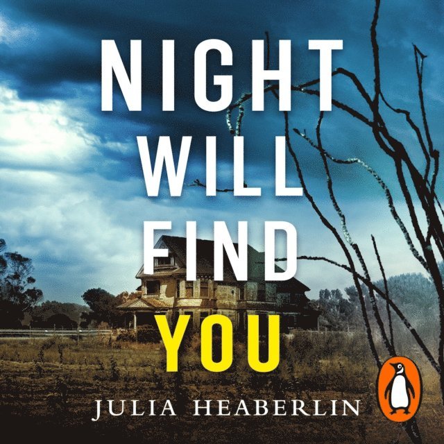 Julia Heaberlin - Night Will Find You, Ljudbok