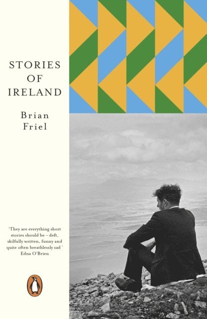 Brian Friel - Stories of Ireland, E-bok