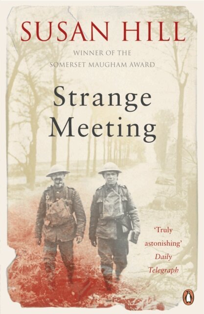 Susan Hill - Strange Meeting, E-bok