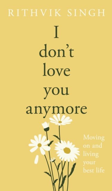 Rithvik Singh - I Don't Love You Anymore, E-bok