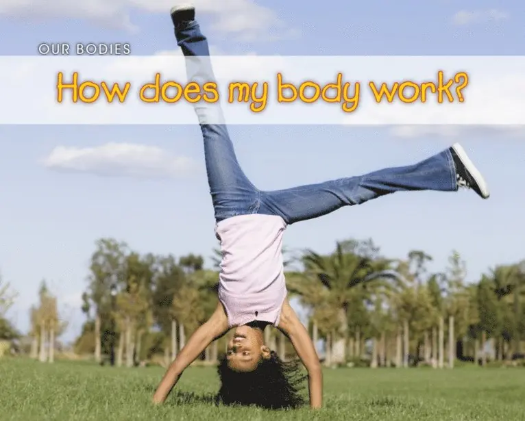 Charlotte Guillain - How Does My Body Work?, E-bok. Tillgänglighet: Lägg i varukorg