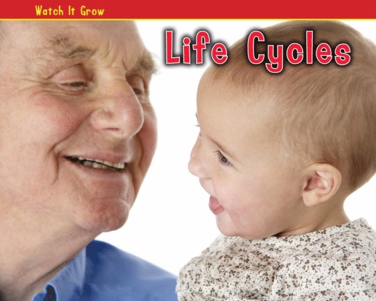 Sian Smith - Life Cycles, E-bok