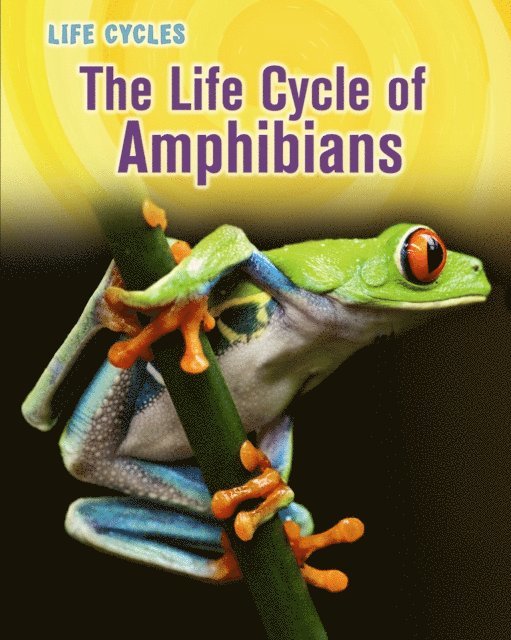 Darlene R. Stille - Life Cycle of Amphibians, E-bok