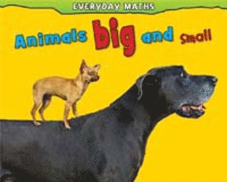 Daniel Nunn - Animals Big and Small, E-bok