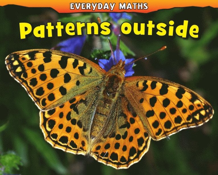 Daniel Nunn - Patterns Outside, E-bok
