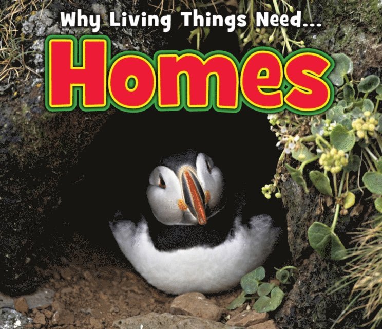 Daniel Nunn - Homes, E-bok