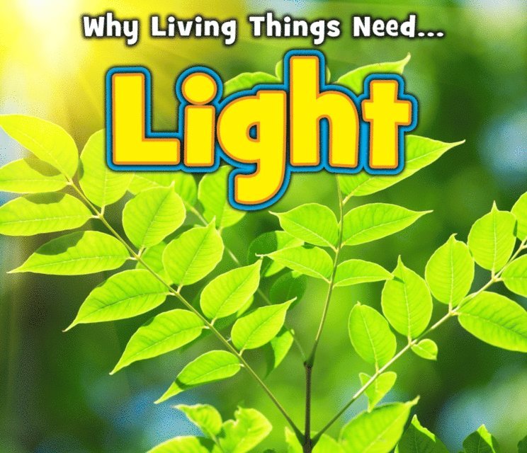 Daniel Nunn - Light, E-bok