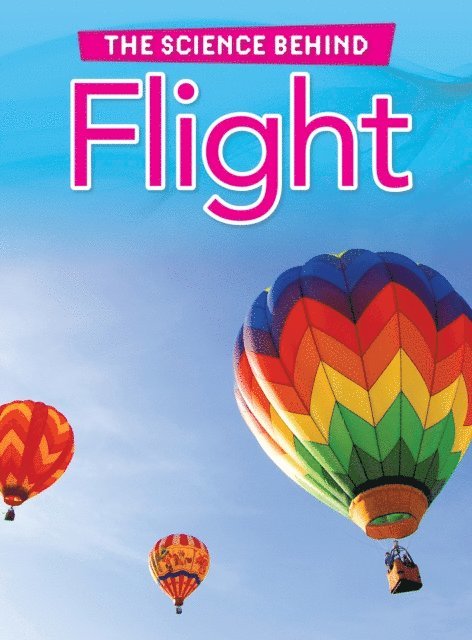 Louise Spilsbury - Flight, E-bok