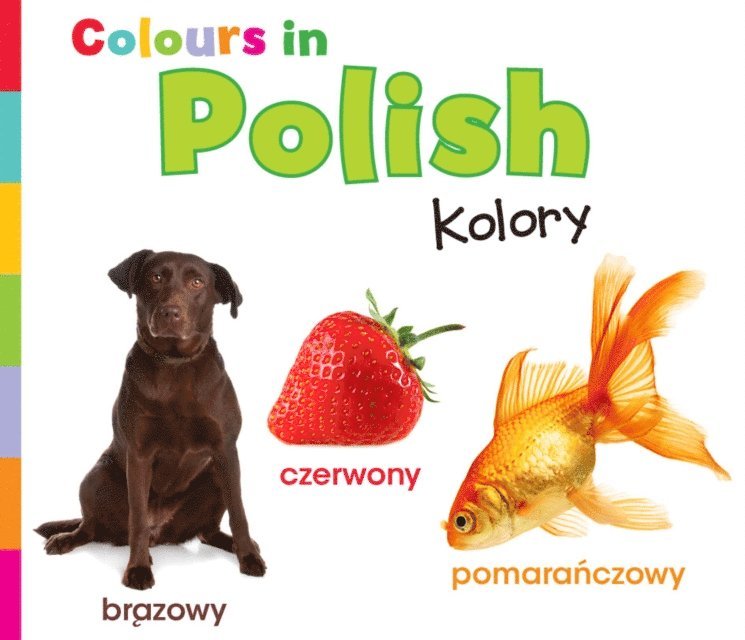 Daniel Nunn - Colours in Polish, E-bok