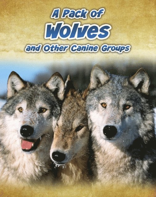 Anna Claybourne - Pack of Wolves, E-bok