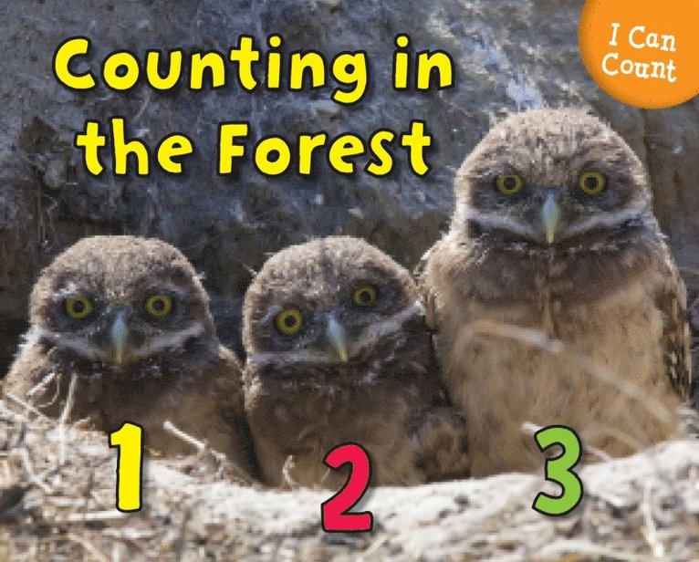 Rebecca Rissman - Counting in the Forest, E-bok
