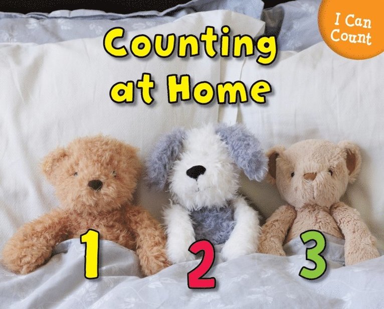 Rebecca Rissman - Counting at Home, E-bok