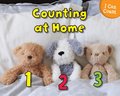 Counting at Home