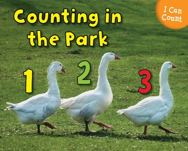 Rebecca Rissman - Counting at the Park, E-bok