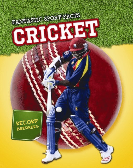 Michael Hurley - Cricket, E-bok