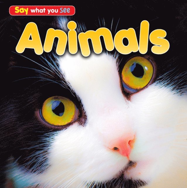 Rebecca Rissman - Animals, E-bok