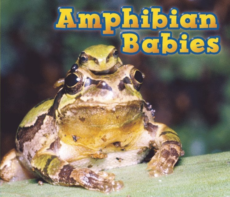 Catherine Veitch - Amphibian Babies, E-bok