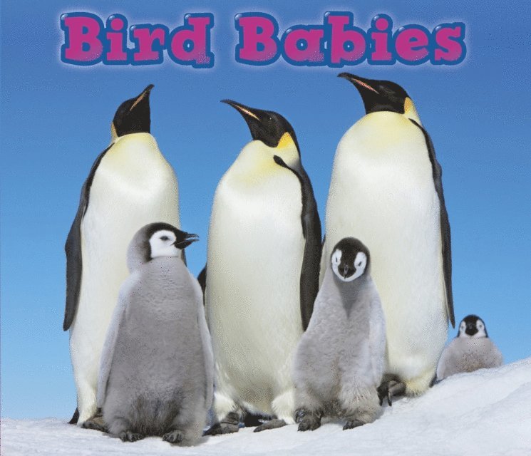 Catherine Veitch - Bird Babies, E-bok